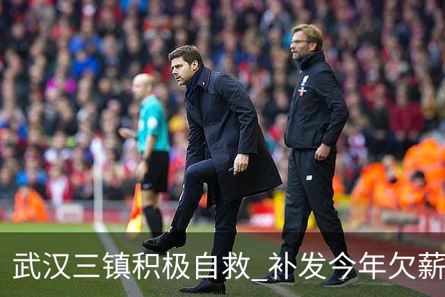 武汉三镇积极自救 补发今年欠薪 准入大概率会解决