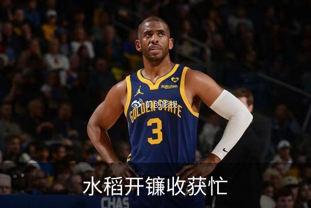水稻开镰收获忙